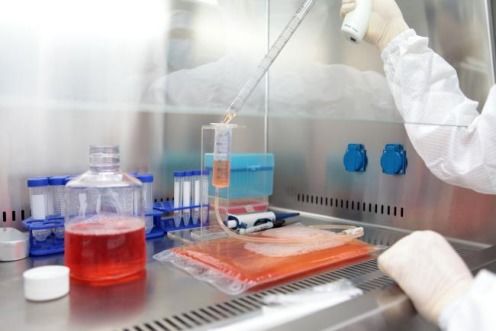 中贏生物2023同比增長31 ,持續領軍行業創新發展