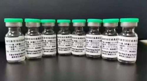 生物疫苗 醫療器械 中藥龍頭,2天2板,兩個月暴漲320 ,還有幾倍空間