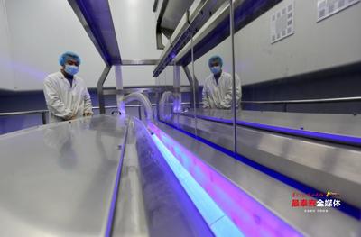 山東省行業(yè)領(lǐng)軍企業(yè)家丨山東潤德生物科技董事長盧偉:以創(chuàng)新謀生存 以創(chuàng)新促發(fā)展