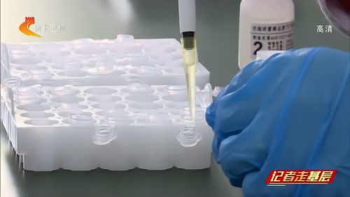 禾柏生物 加快研發 提速診斷 多種產品助力疫情防控