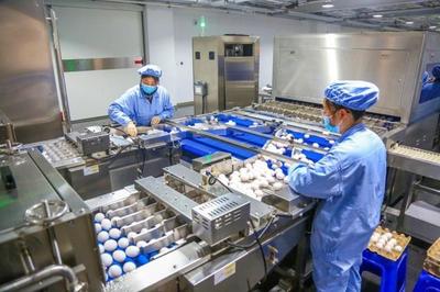 全國人大代表、華蘭生物董事長安康再發(fā)聲:研發(fā)不會缺席,會生產(chǎn)出新型疫苗