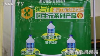以品質(zhì)占領(lǐng)市場靠質(zhì)量鑄就品牌,2019中原畜牧?xí)靼部禈反笳癸L(fēng)采